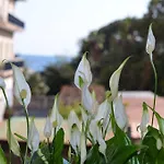 Solemar *